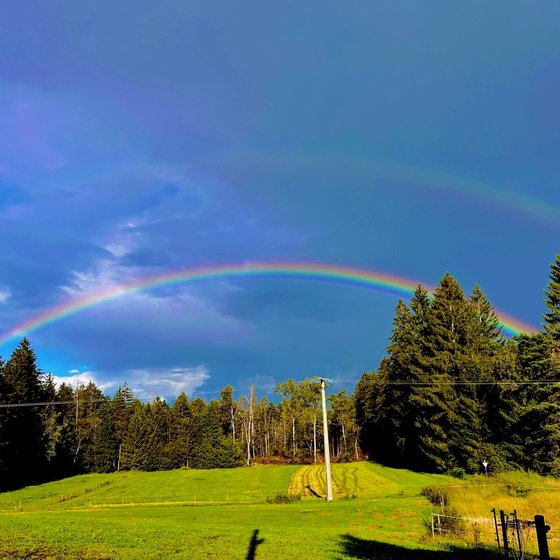 Regenbogen über der Weide