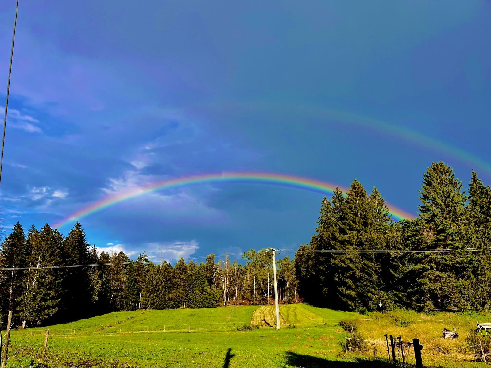 Regenbogen über der Weide am Waldrand