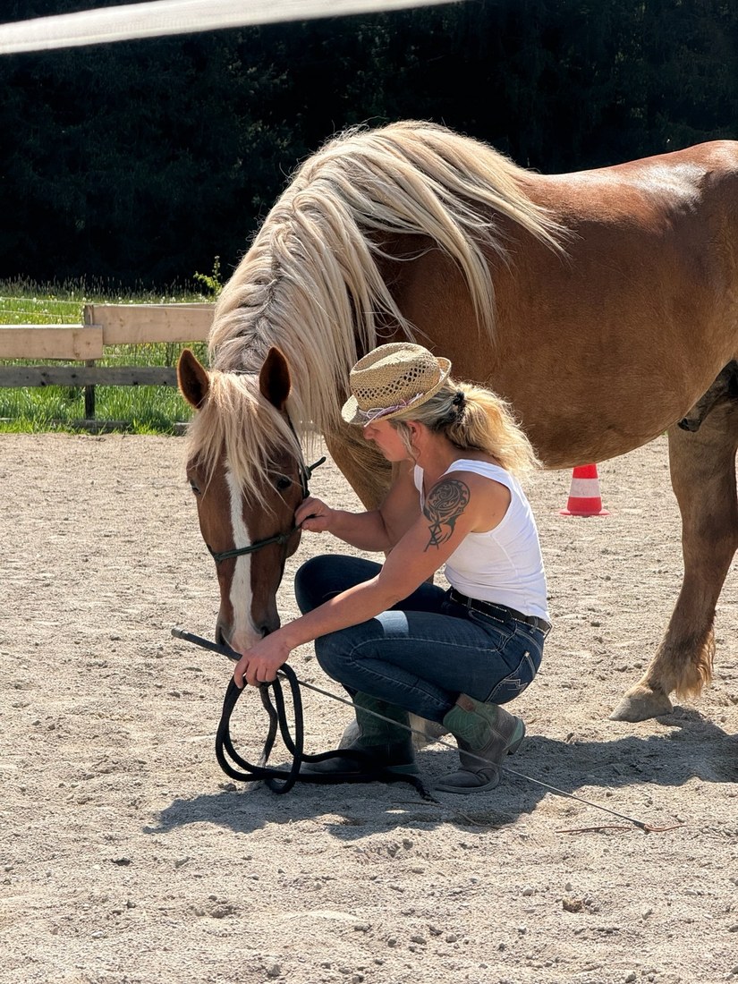 Seilarbeit: Caro hockt mit Knotenhalfter und Seil bei einem Haflinger, der entspannt den Kopf senkt
